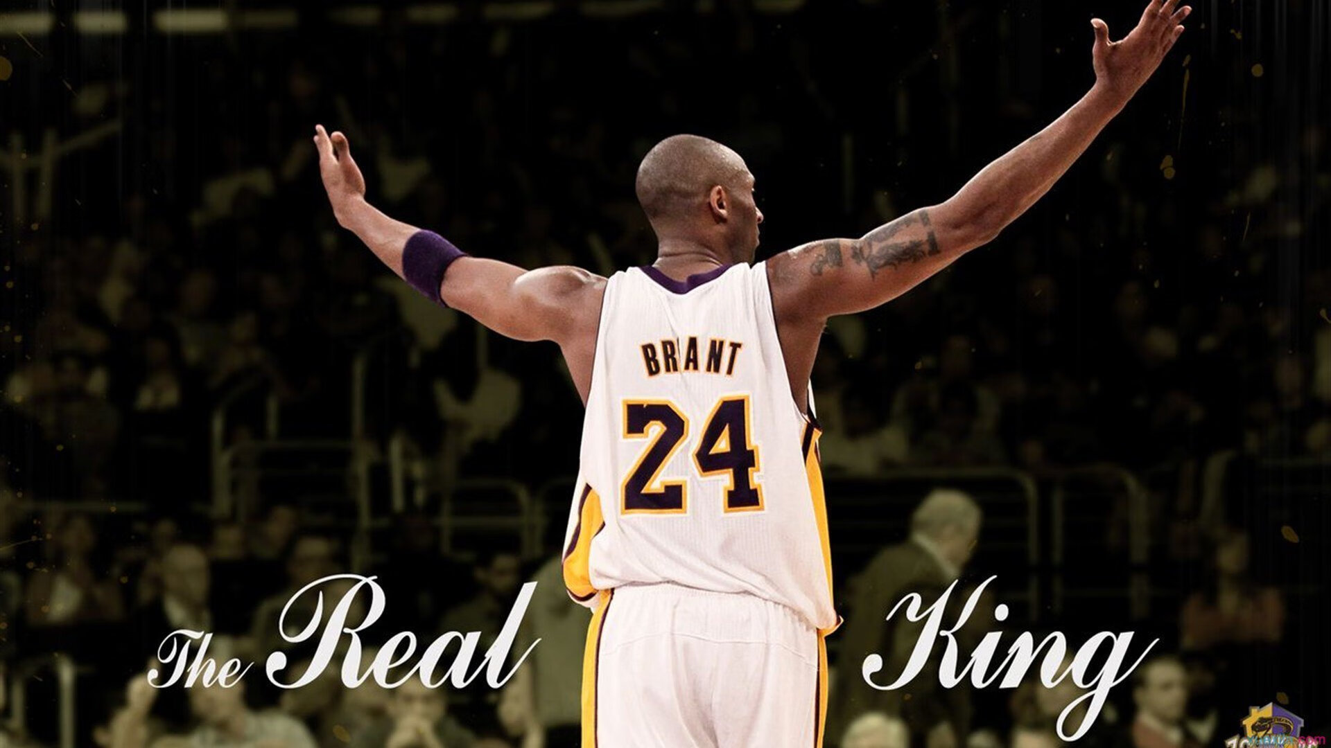 皮特·斯图斯:南非队的防守之魂,展现完美球技